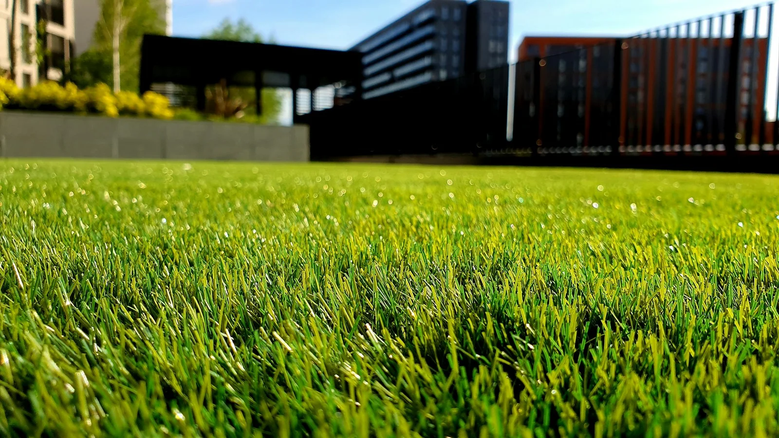 Stockfoto zur Konzeptidee Ein Platz in der Sonne